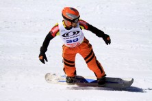 Polskie Dni 2010 - Puchar Salomona I