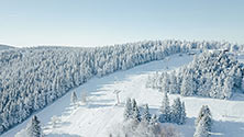 Zieleniec Ski Arena z drona