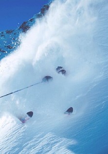 Freeride