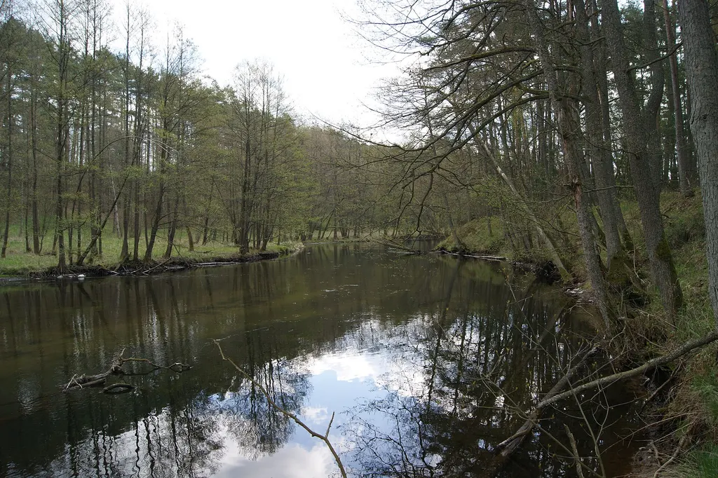 Spływ Brdą