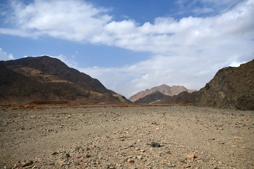 Park Narodowy Wadi El Gemal