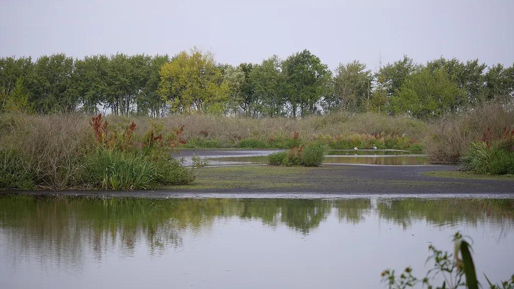 Ekopark Wschodni