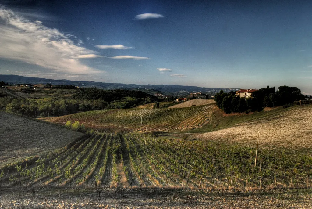 Chianti