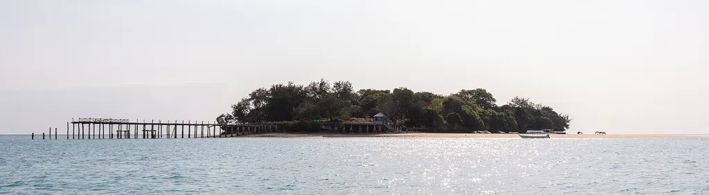 Wyspa Changuu (Prison Island)