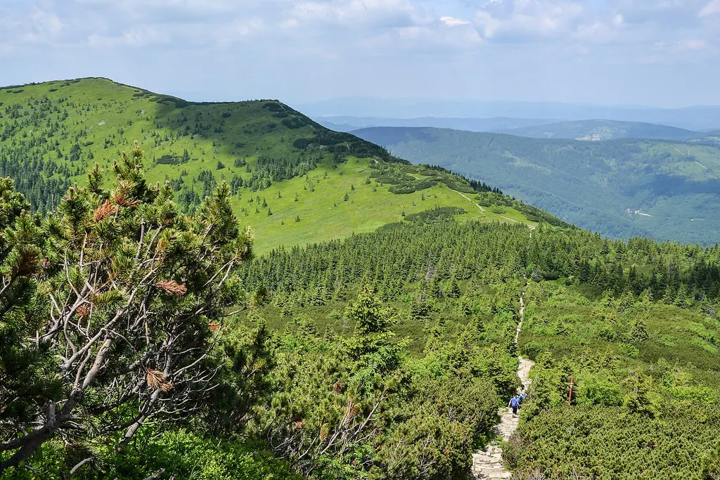 Babia Góra