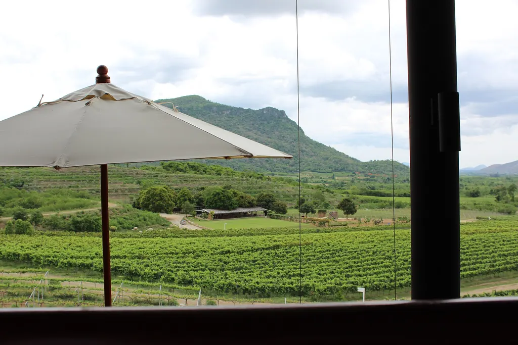 Winnica Monsoon Valley