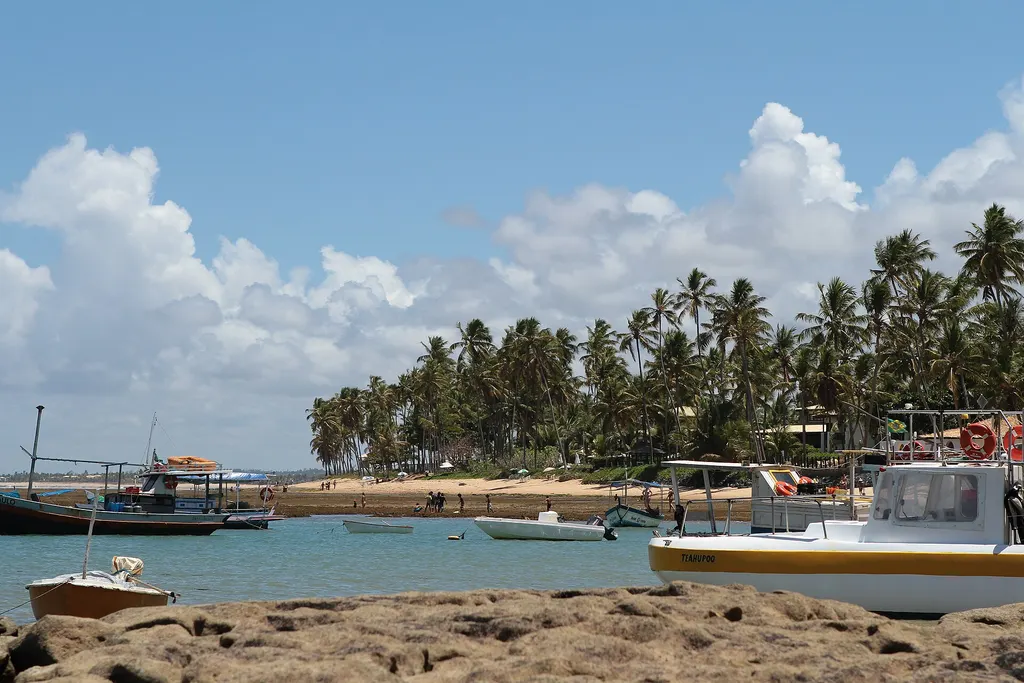 Praia do Forte i Projeto Tamar