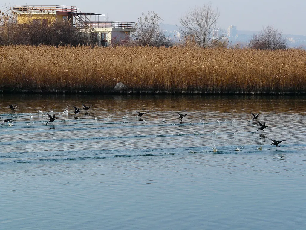 Burgas: Ogród Morski i rezerwat Poda