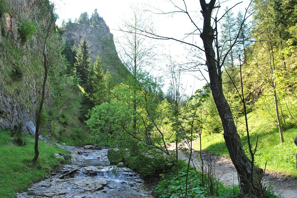 Wąwóz Homole
