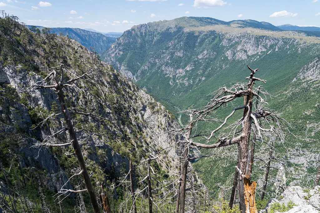 Park Narodowy Durmitor