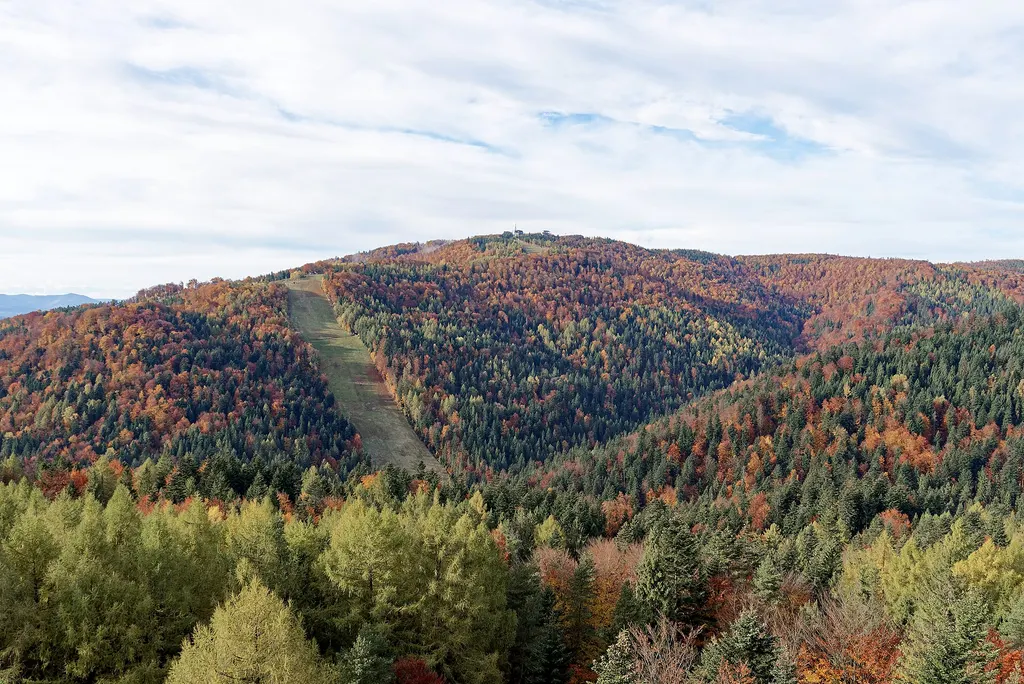 Jaworzyna Krynicka