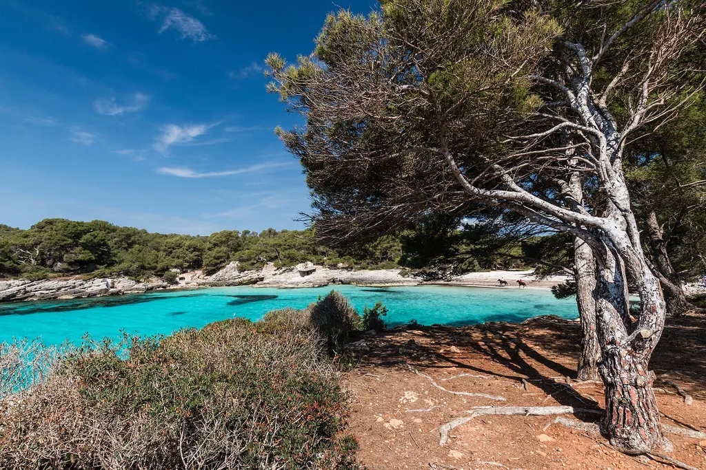 Cala en Turqueta