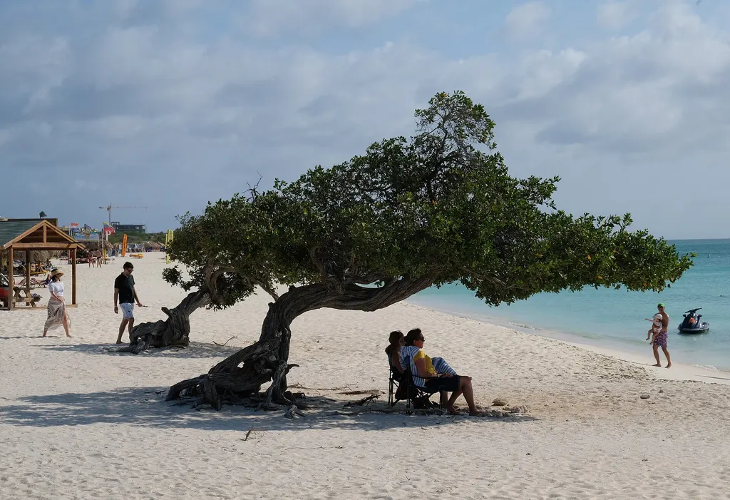Eagle Beach, Aruba