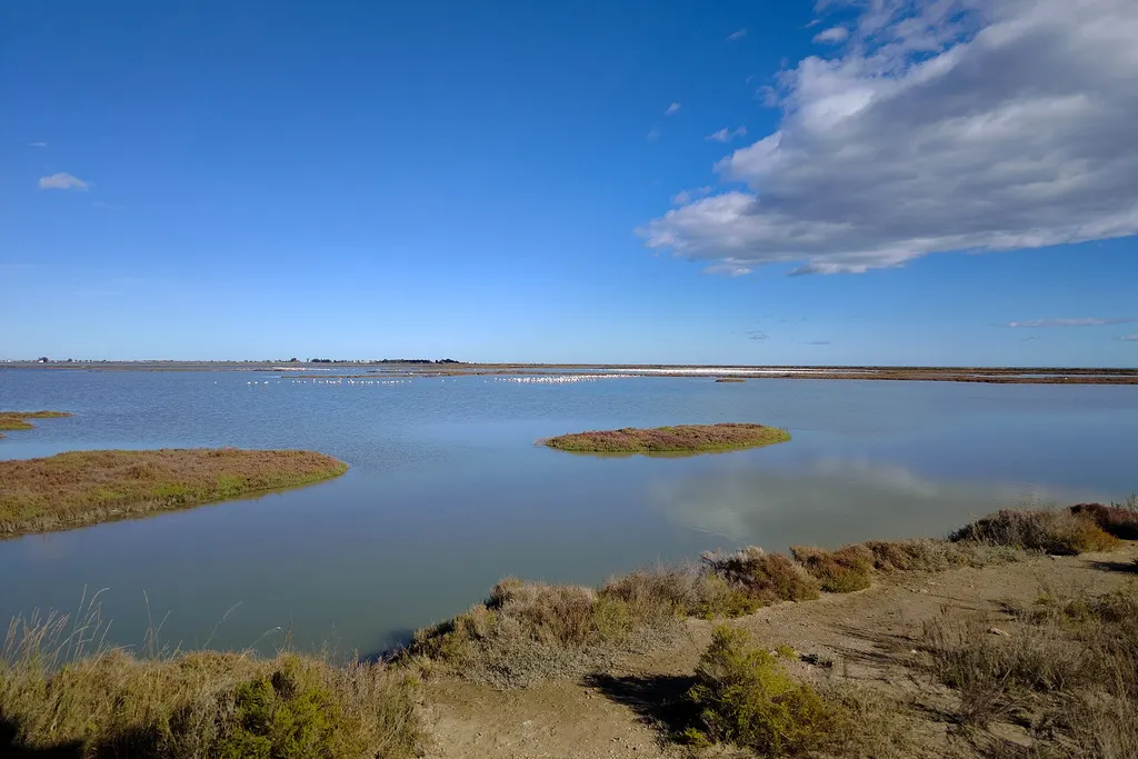 Delta Ebro