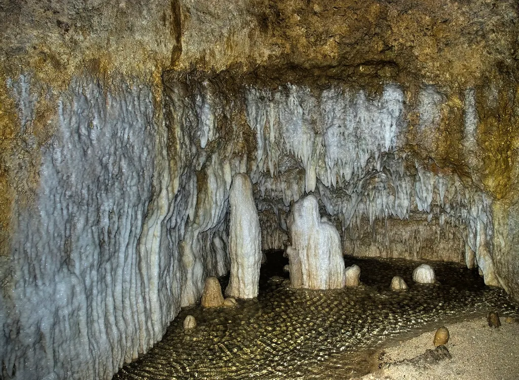 Jaskinia Harrison’s, Barbados