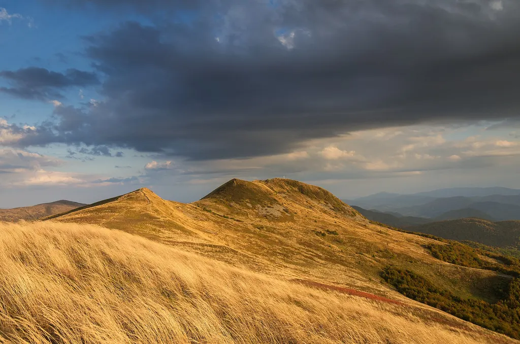 Tarnica