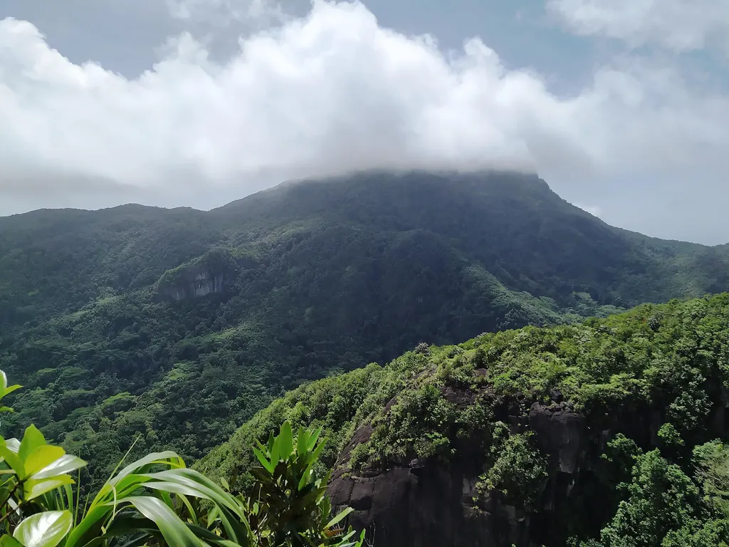 Park Narodowy Morne Seychellois, Mahé