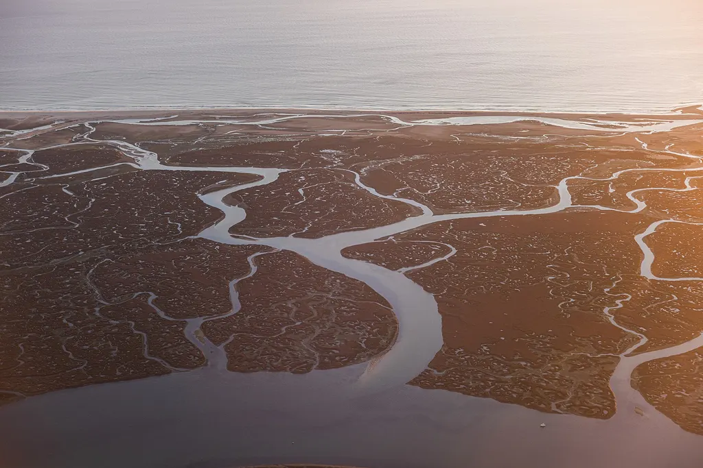 Park Przyrodniczy Ria Formosa