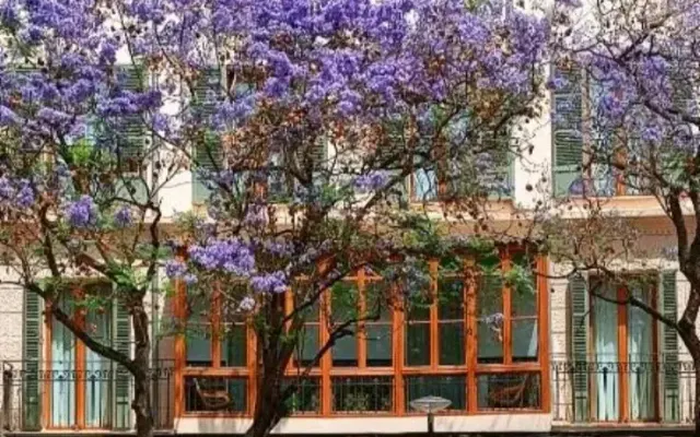 Hotel Nou Baleares, Palma de Mallorca (Majorka)