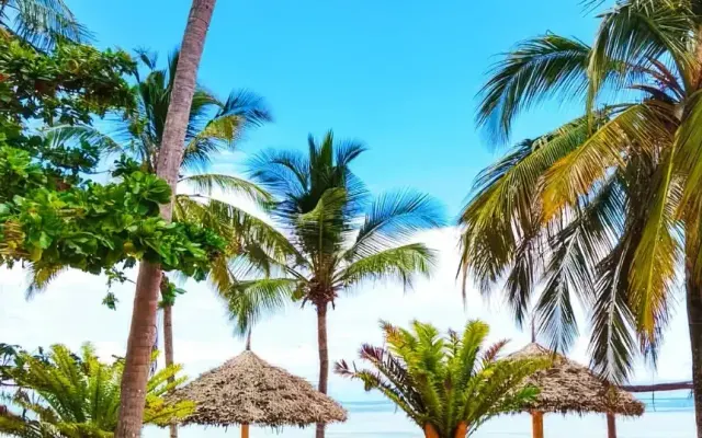 Jaz Amaluna, Uroa (Zanzibar)