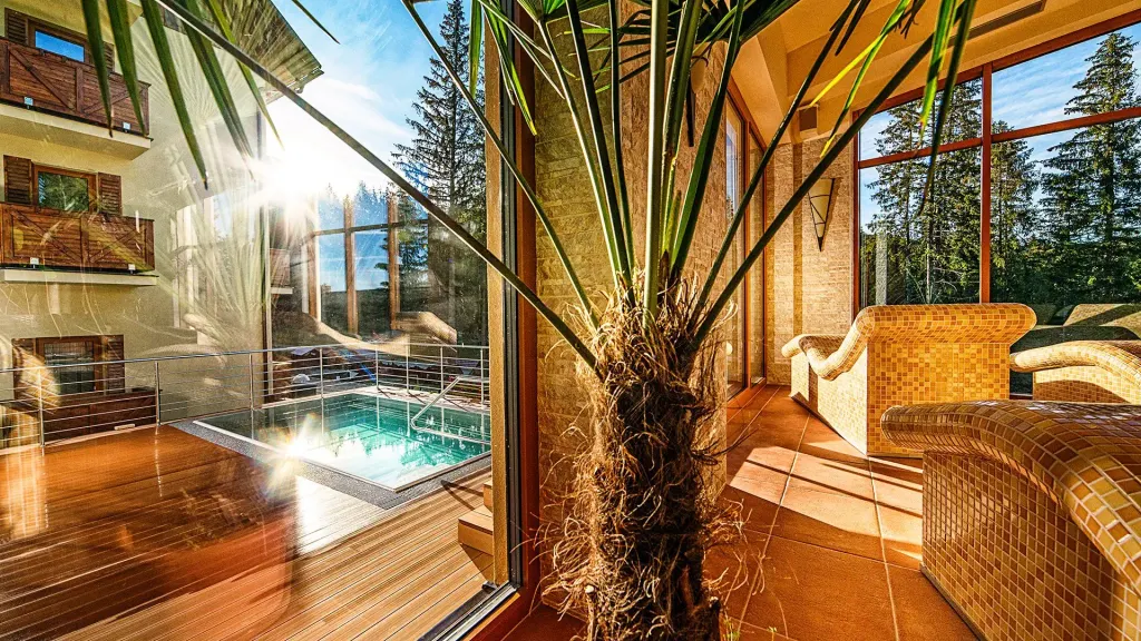 Druzba Ski & Wellness Residence, zdjęcie 18