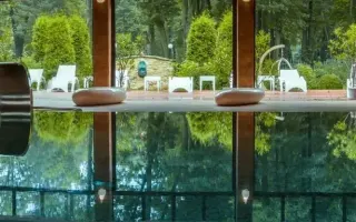 Manor House SPA Pałac Odrowążów, Chlewiska (Polska Centralna)