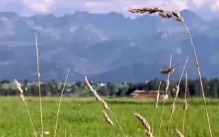 Zapotoczny Residence, Ząb (Tatry i Podhale)