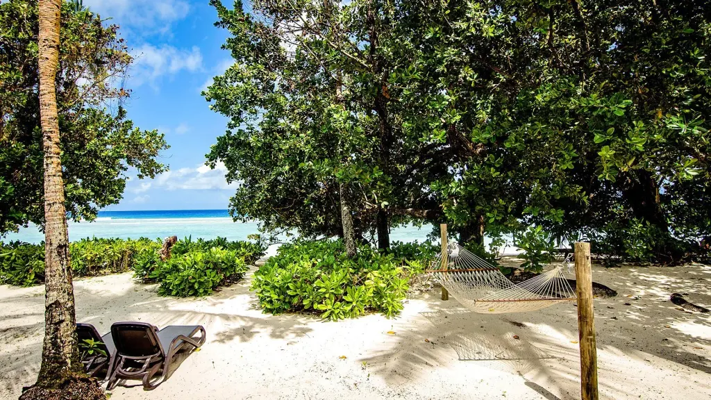 Niva Labriz Seychelles, zdjęcie 17