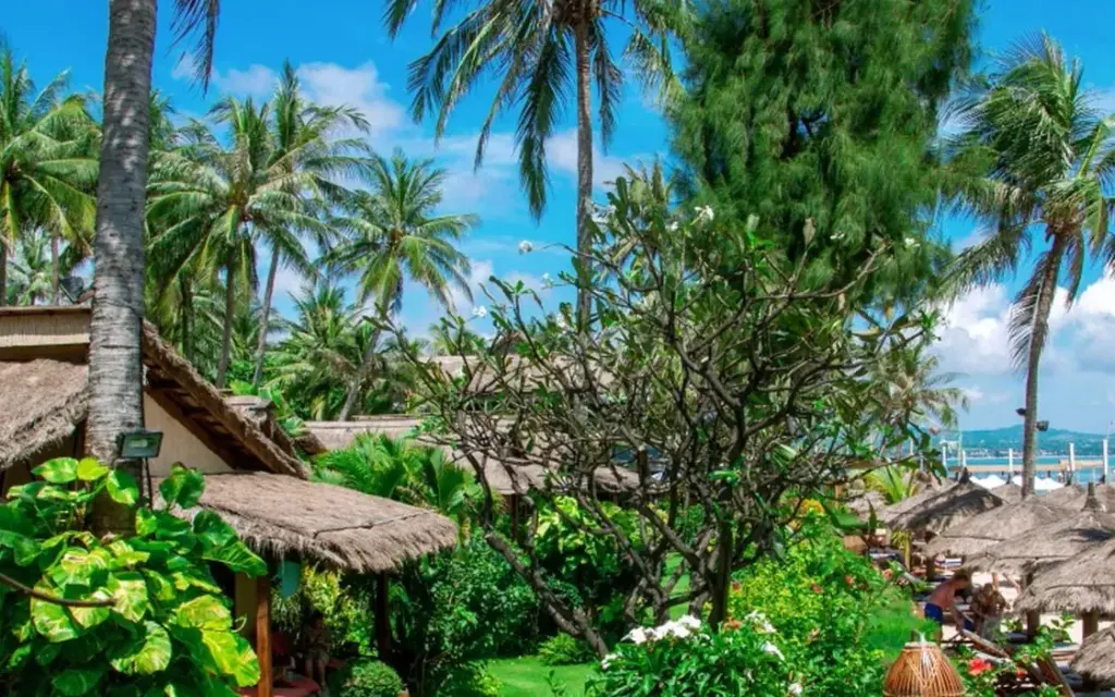 Bamboo Village Beach Resort & Spa, Ham Tien (Wybrzeże Morza Południowochińskiego)