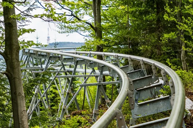 Salamandra Alpine Coaster w Szczyrku