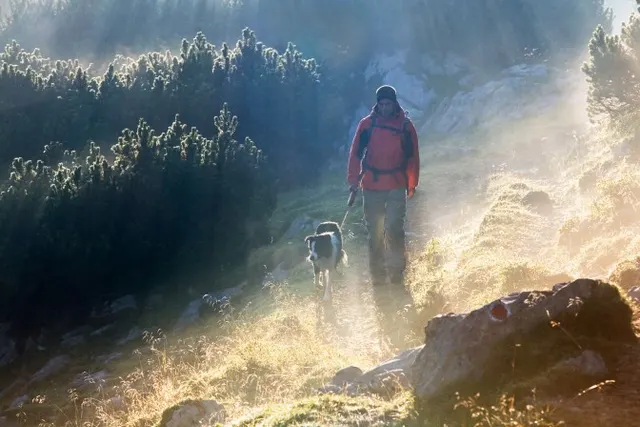 Wanderer, Hund, Kramsach (c) Alpbachtal Tourismus, Christian Vorhofer