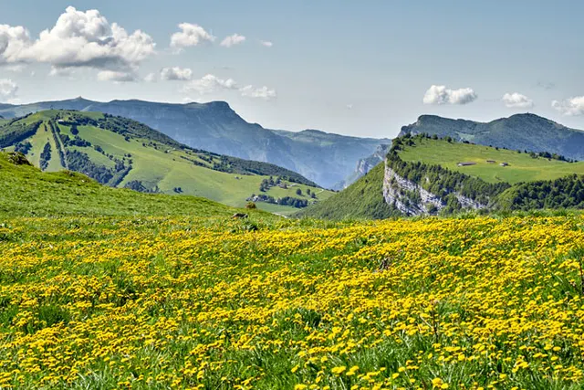 Trentino - podróż do kwitnących widowiskowo Alp