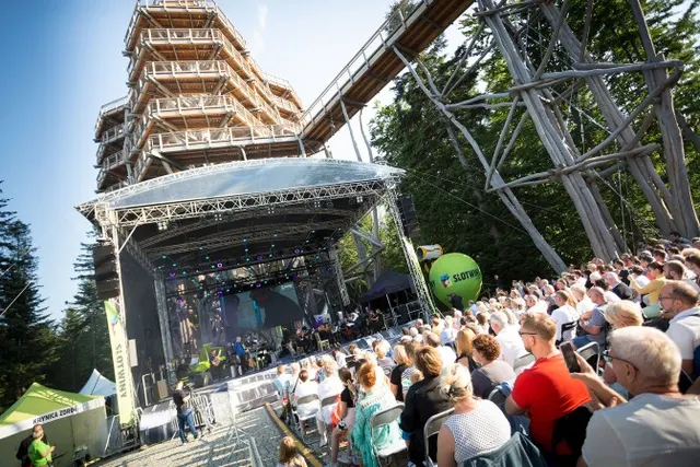 Lato z Grupą Pingwina