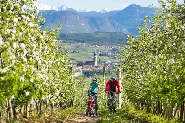 Rowerem przez Południowy Tyrol
