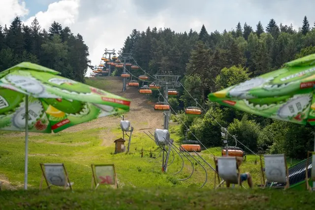 Lato z Grupą Pingwina