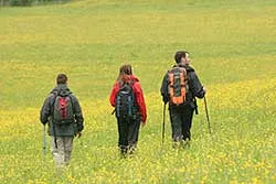 Przyjemne dźwiganie z Alpinusem