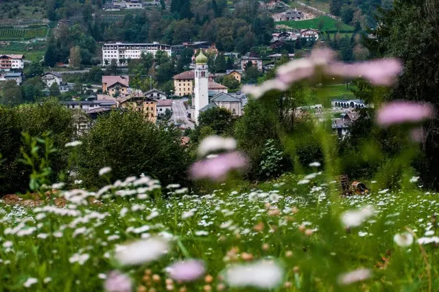 Wolnym krokiem przez Trentino - propozycje nieznanych tras spacerowych