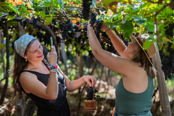 Jesienne festiwale na Maderze