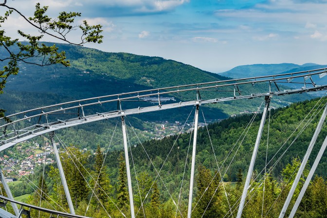Salamandra Alpine Coaster w Szczyrku