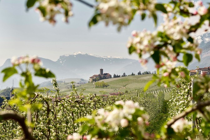 Trentino w rozkwicie: wędrówki wśród kwiatów i wiosenne festiwale